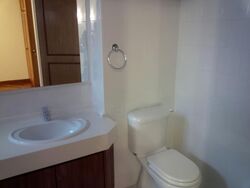 Tanglin Park (D10), Condominium #575735341